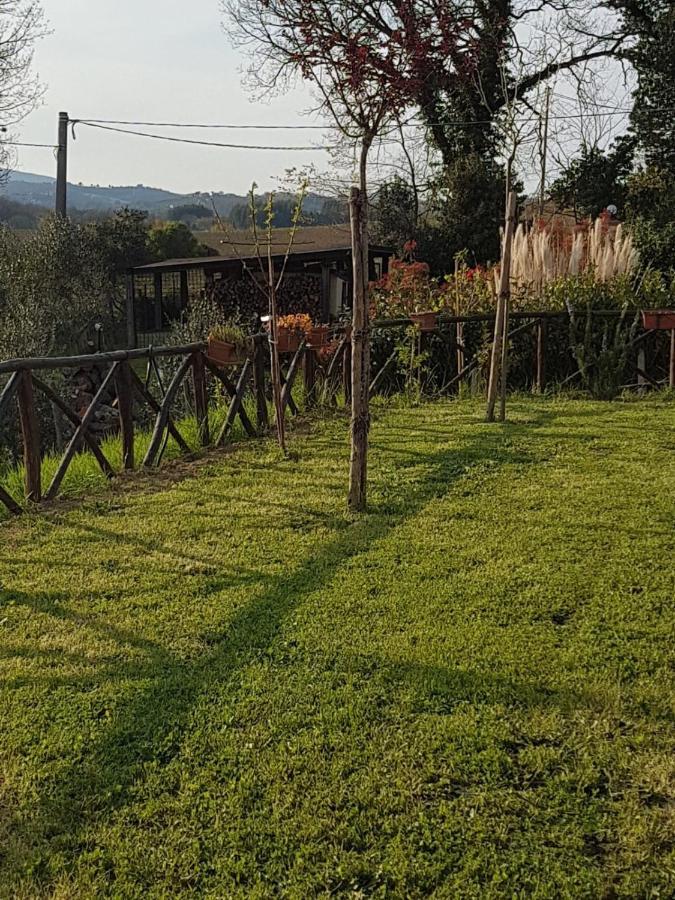 B&B La Casetta Di Lilly Amelia Eksteriør bilde